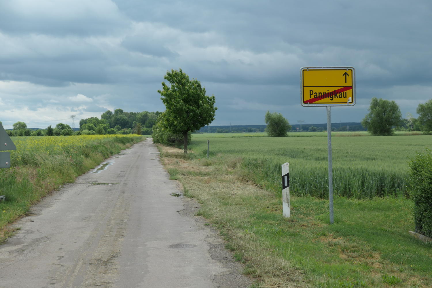 p1000391.jpg