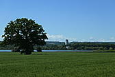 p1000160.jpg