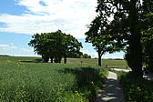 p1000163.jpg