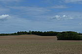 p1000167.jpg
