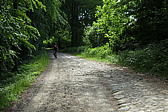 p1000168.jpg