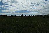 p1000172.jpg