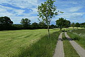 p1000174.jpg