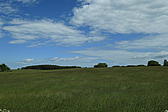 p1000175.jpg