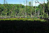 p1000191.jpg