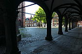 p1000219.jpg