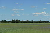 p1000290.jpg