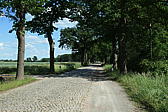 p1000304.jpg