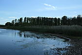 p1000310.jpg