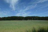 p1000330.jpg