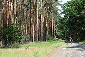 p1000351.jpg