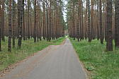 p1000358.jpg