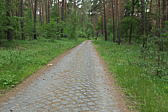 p1000361.jpg
