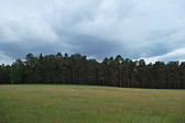 p1000362.jpg