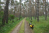 p1000364.jpg