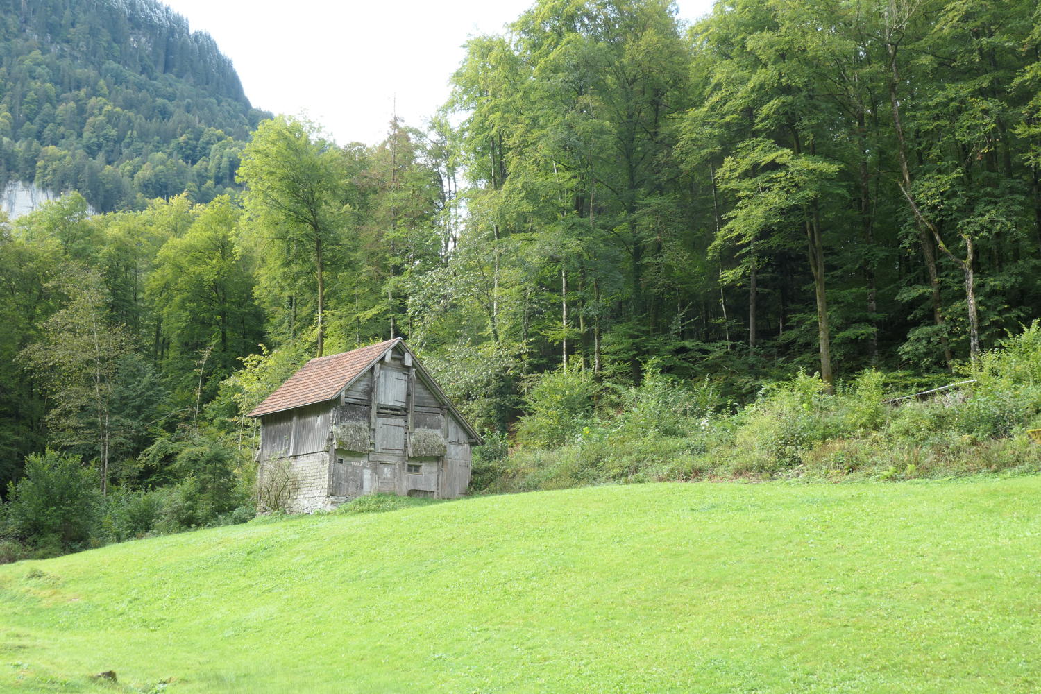p1001076.jpg