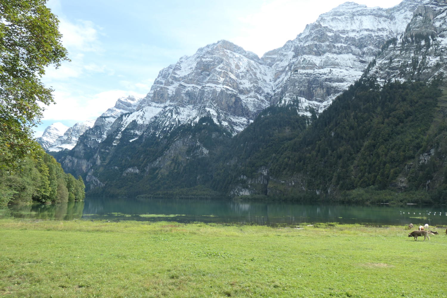 p1001090.jpg
