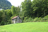 p1001076.jpg