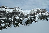 p1001079.jpg