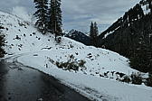 p1001085.jpg