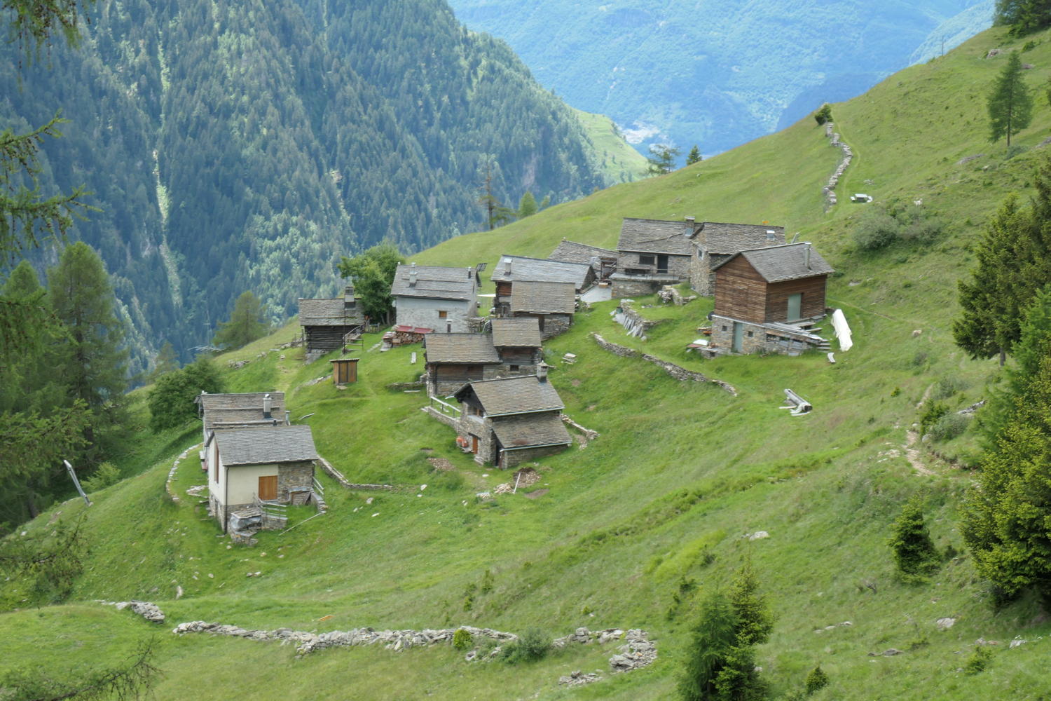 p1000474.jpg