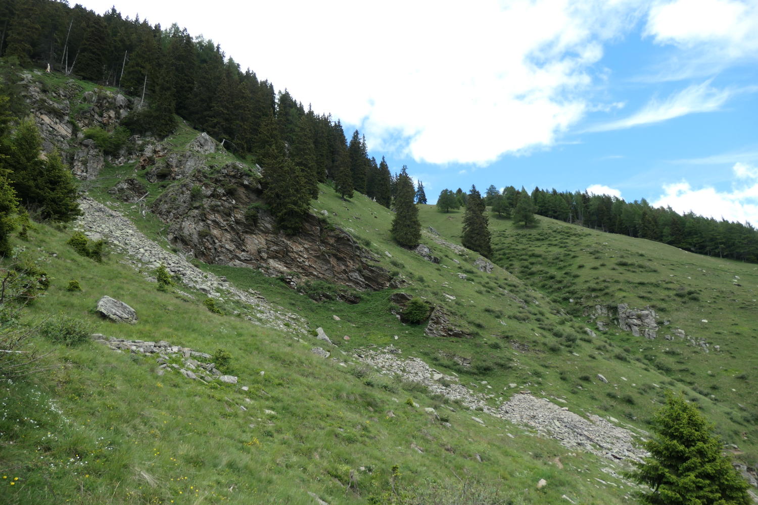 p1000478.jpg