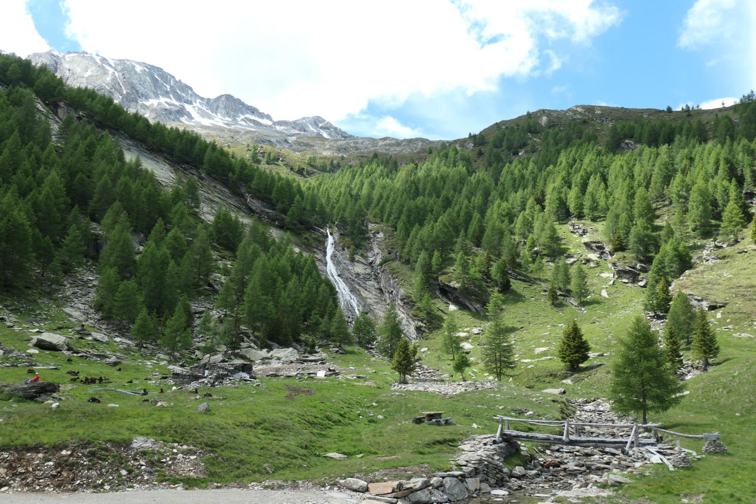 p1000480.jpg
