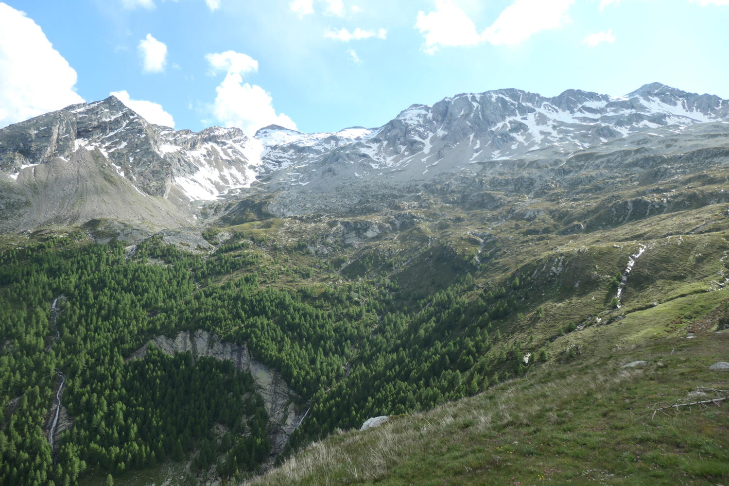 p1000487.jpg