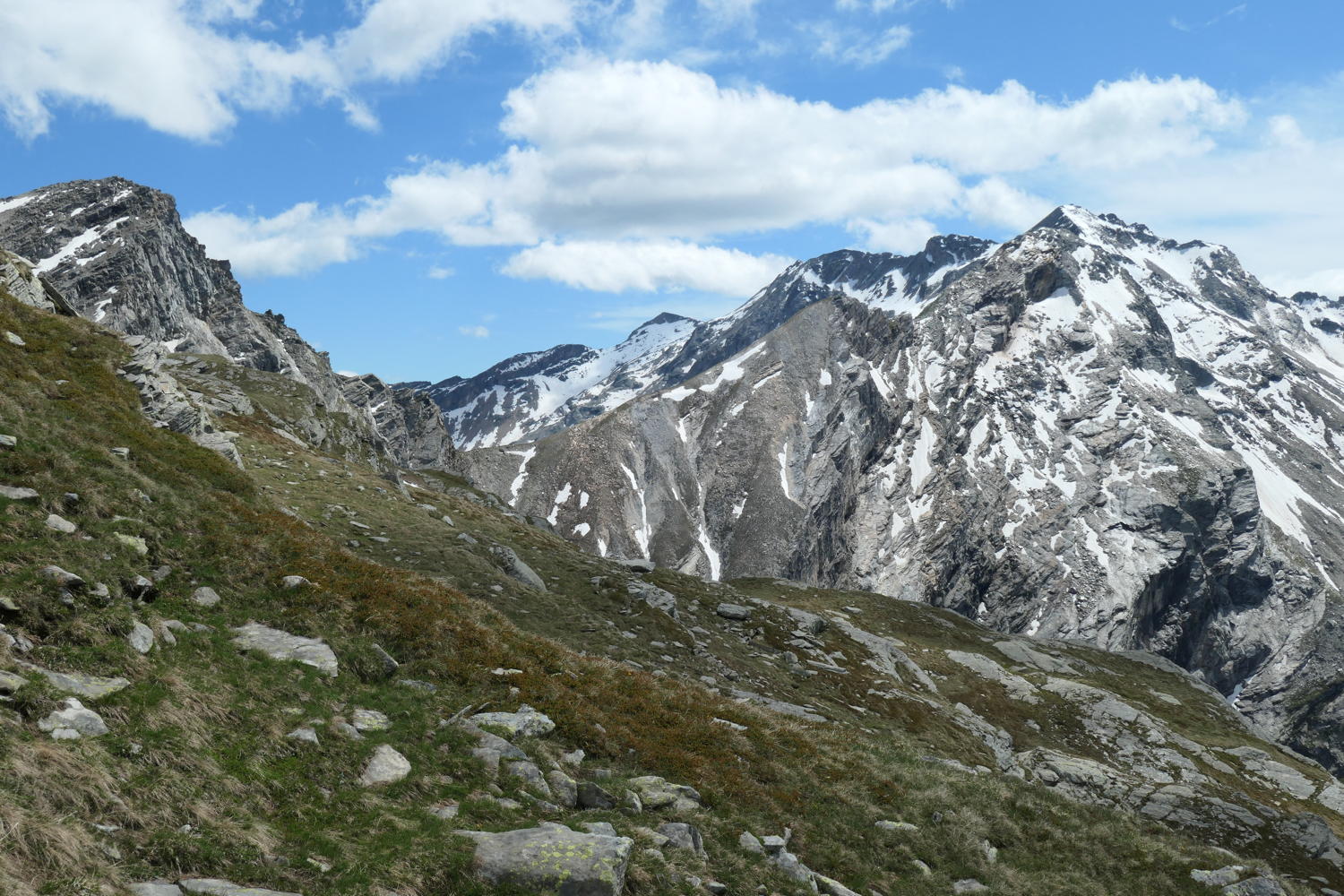 p1000514.jpg