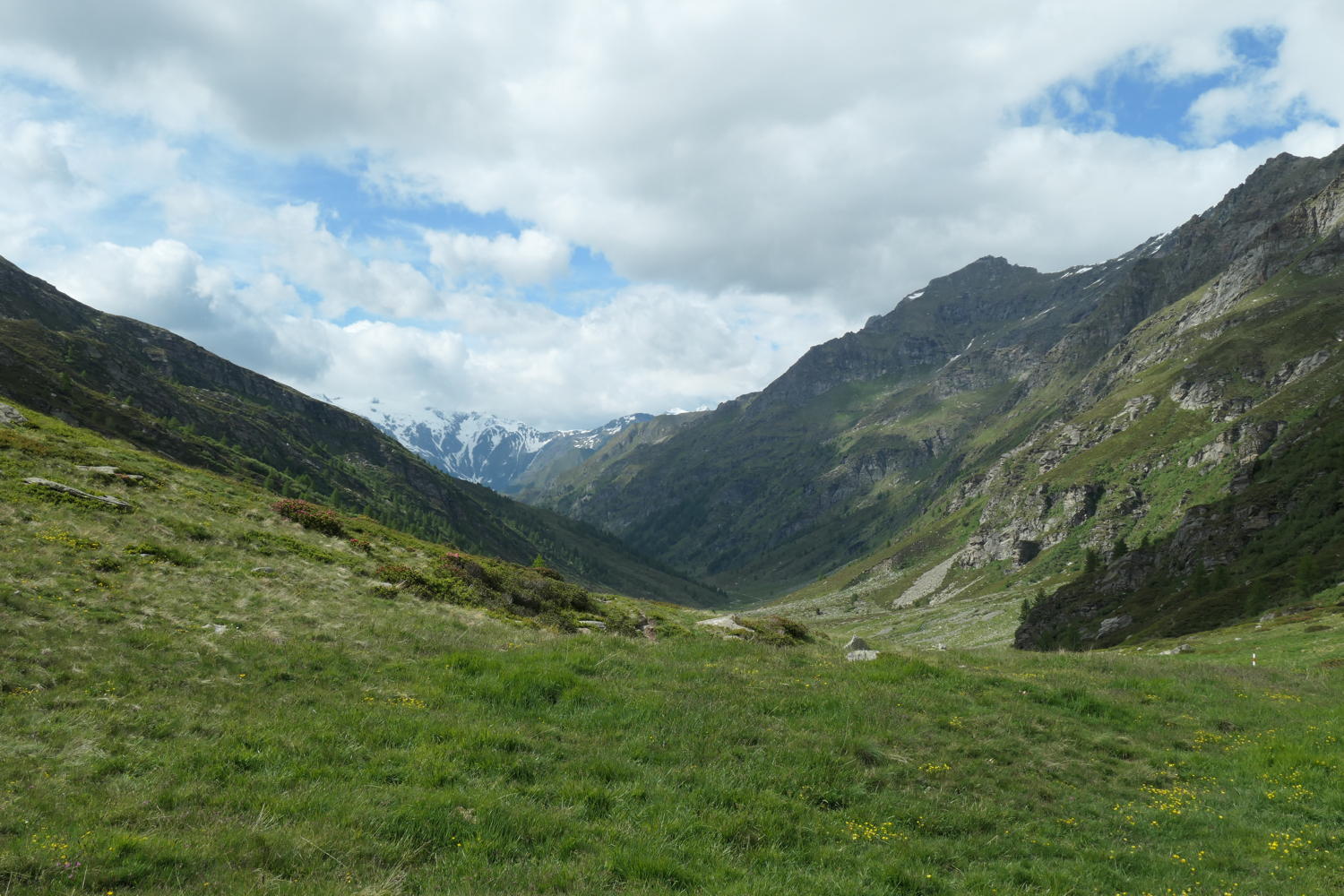 p1000518.jpg