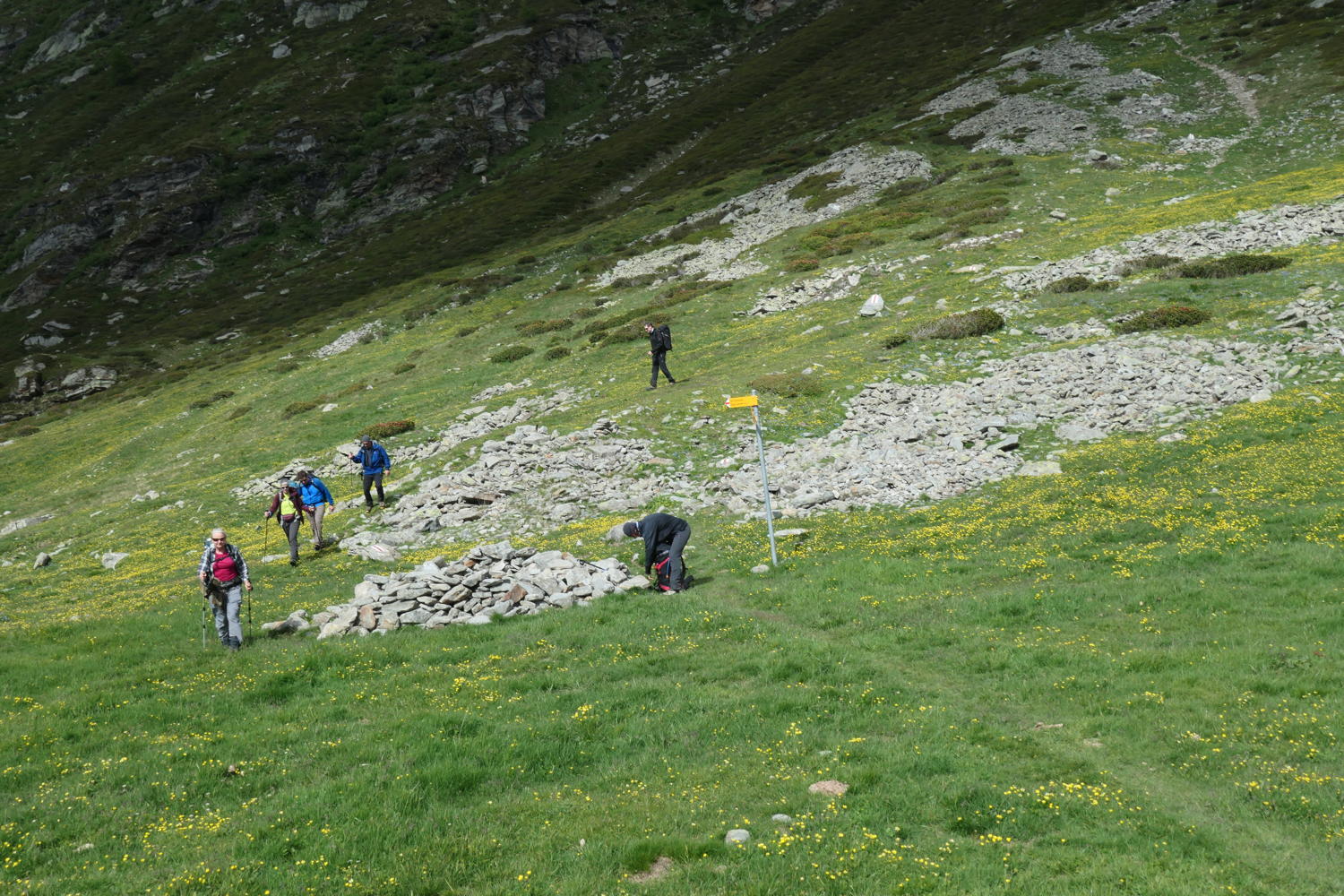 p1000519.jpg