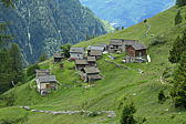 p1000474.jpg