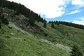 p1000478.jpg
