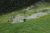 p1000519.jpg