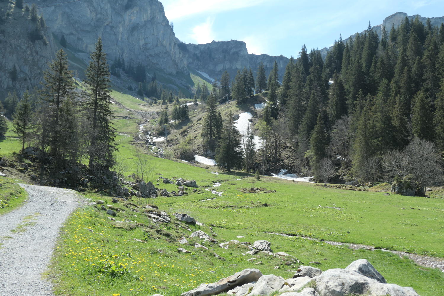 p1000091.jpg