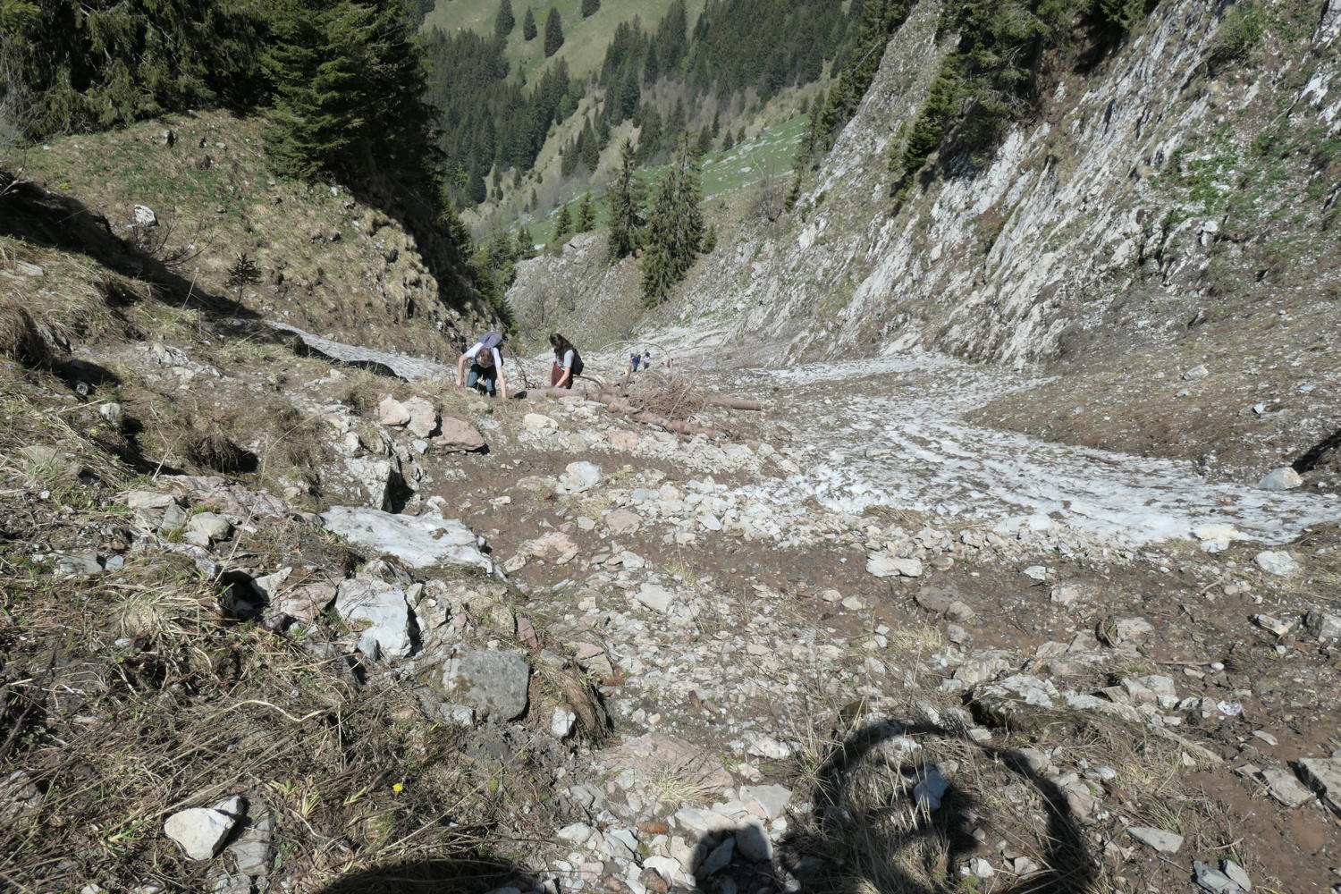 p1000106.jpg