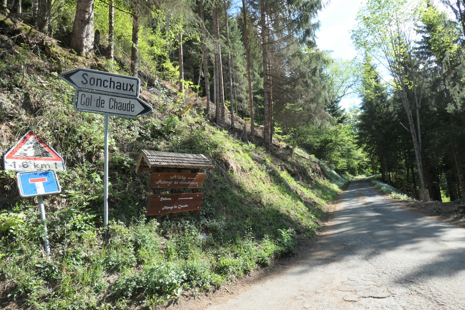 p1000123.jpg