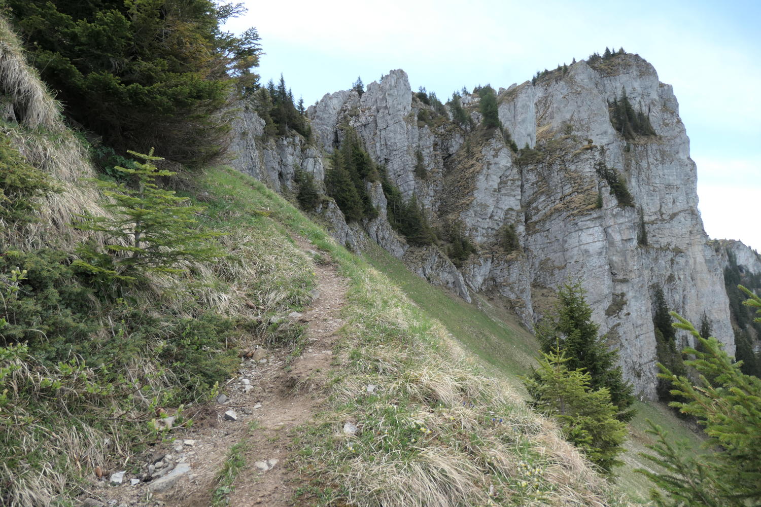p1000130.jpg
