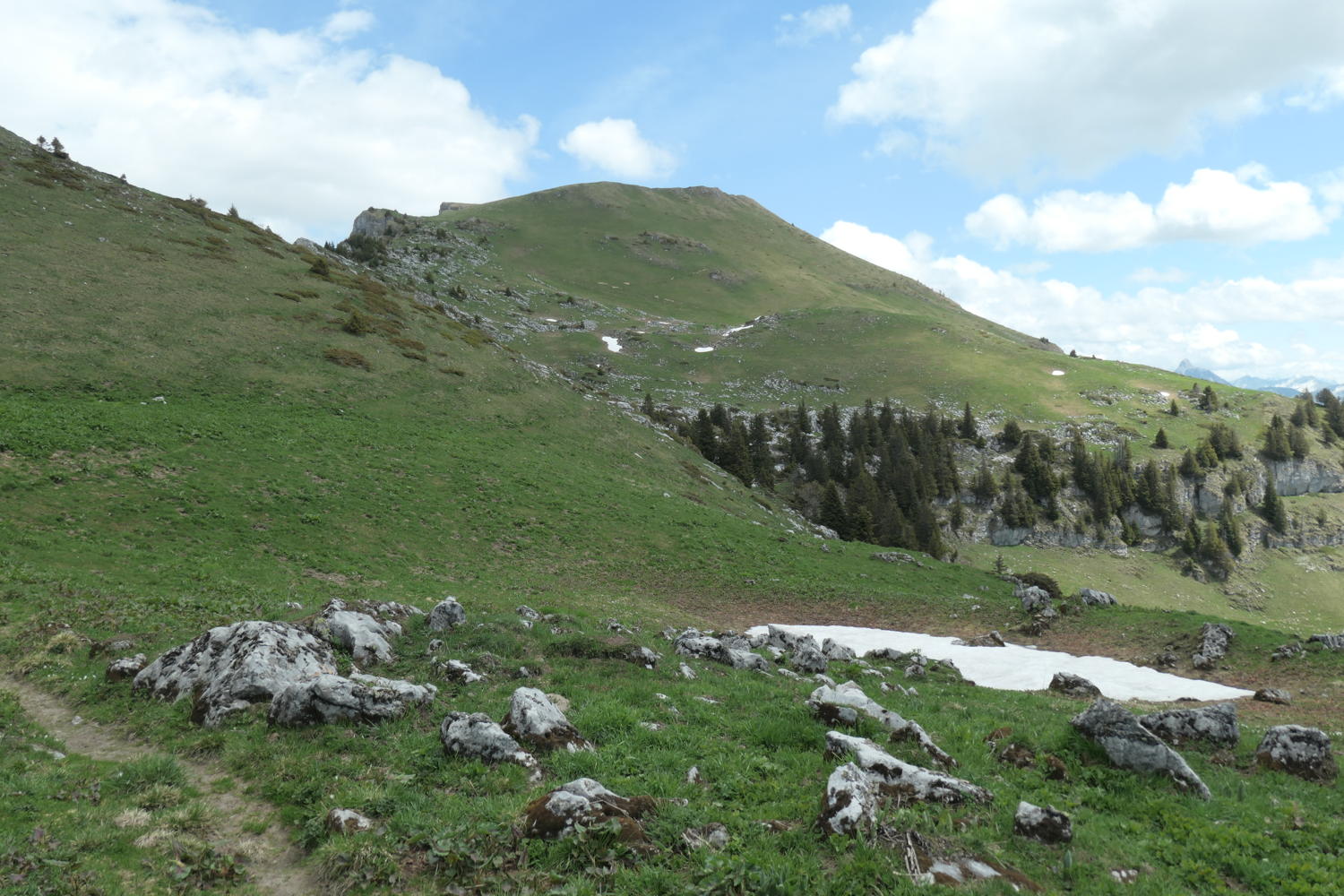 p1000132.jpg