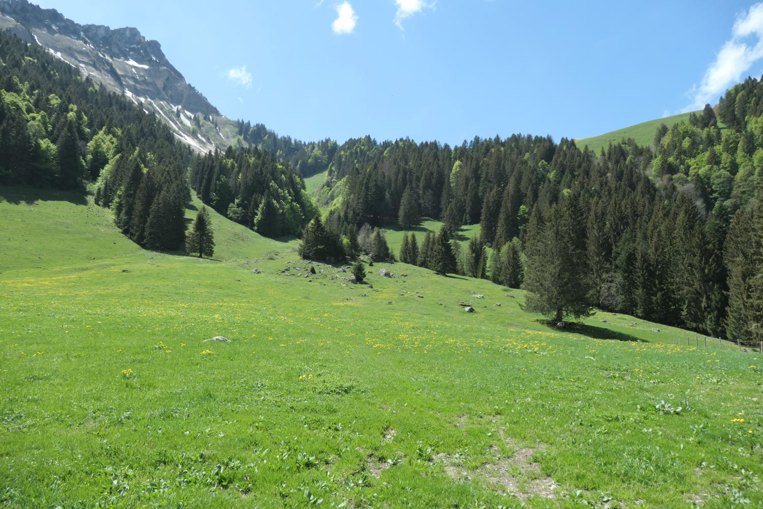 p1000143.jpg