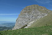 p1000097.jpg