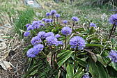 p1000127.jpg
