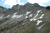 p1000139.jpg