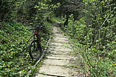 p1000140.jpg