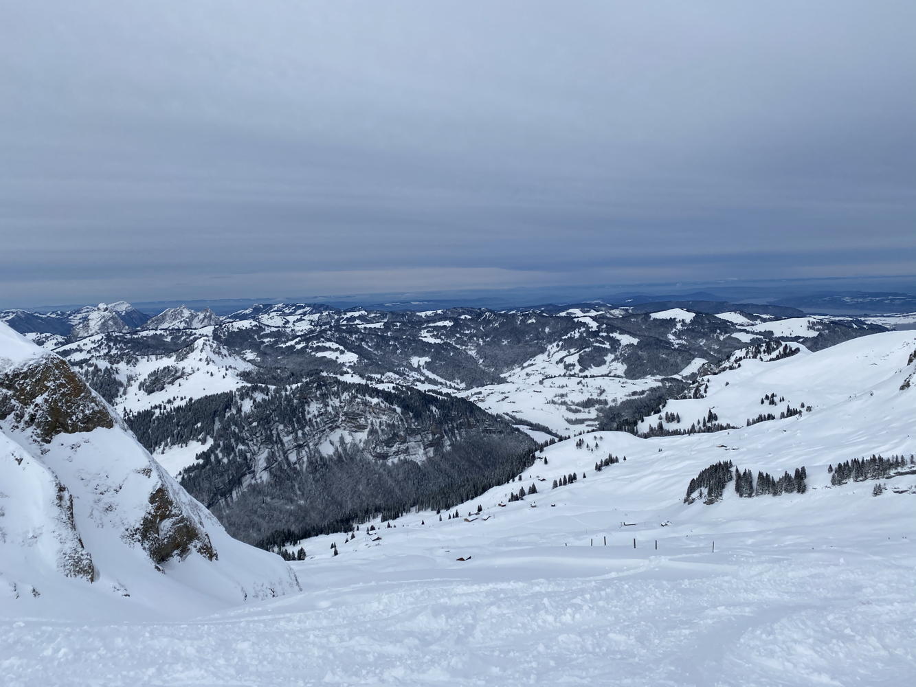 p1002176a.jpg