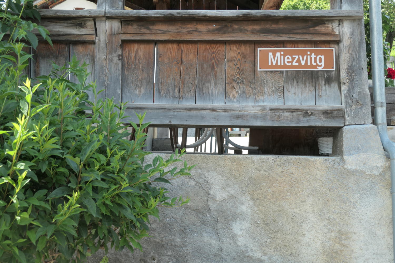 p1000534.jpg