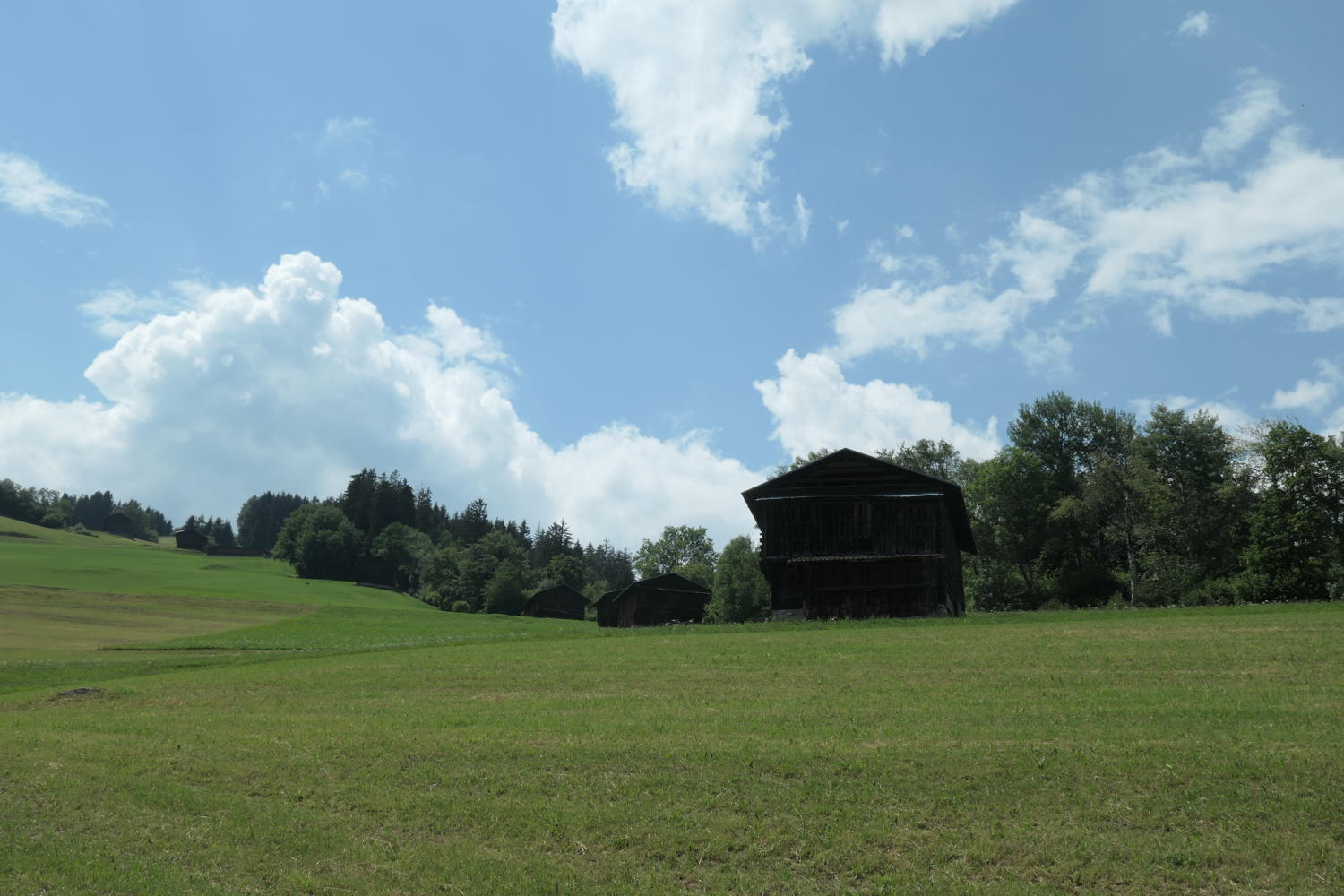 p1000538.jpg