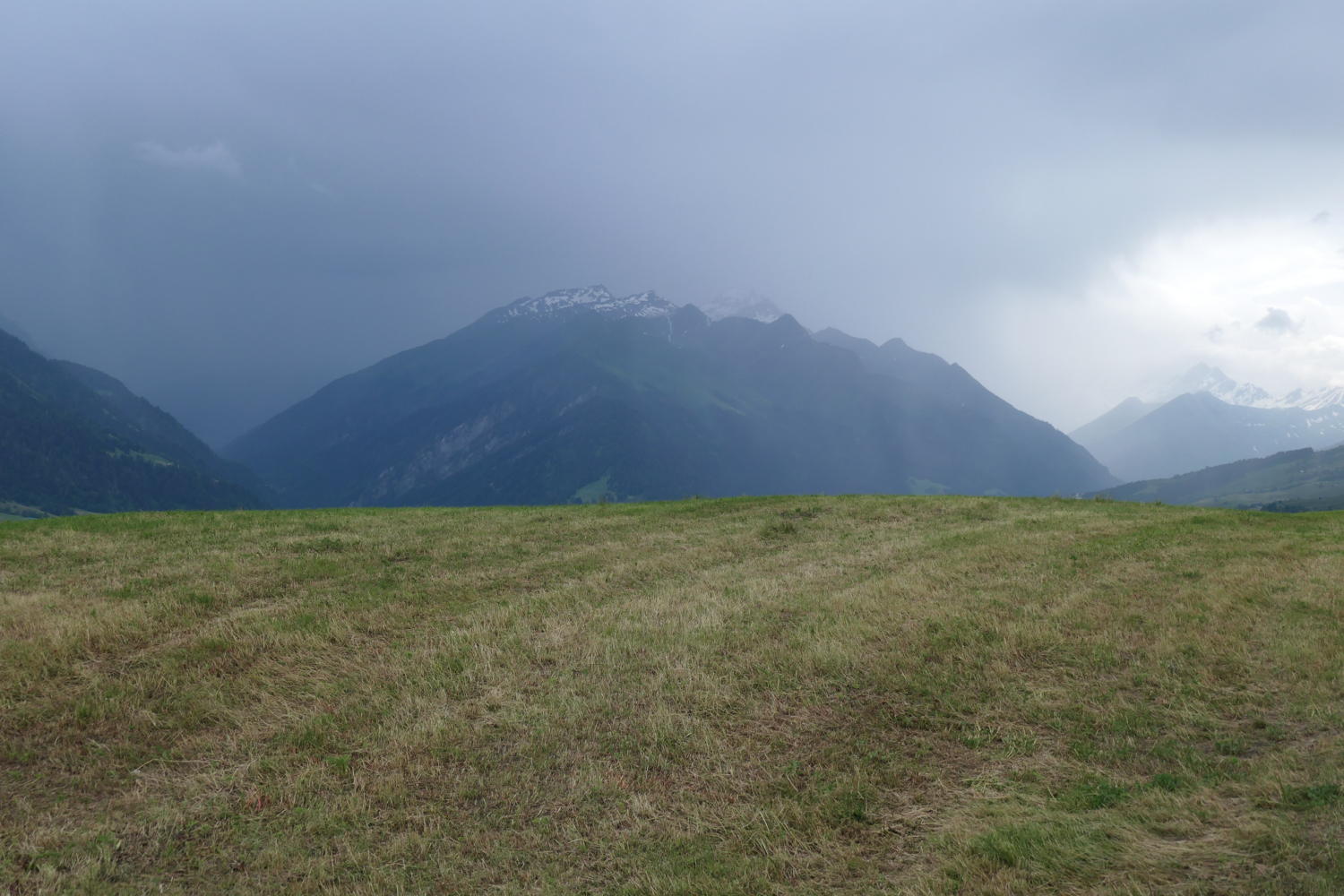p1000560.jpg