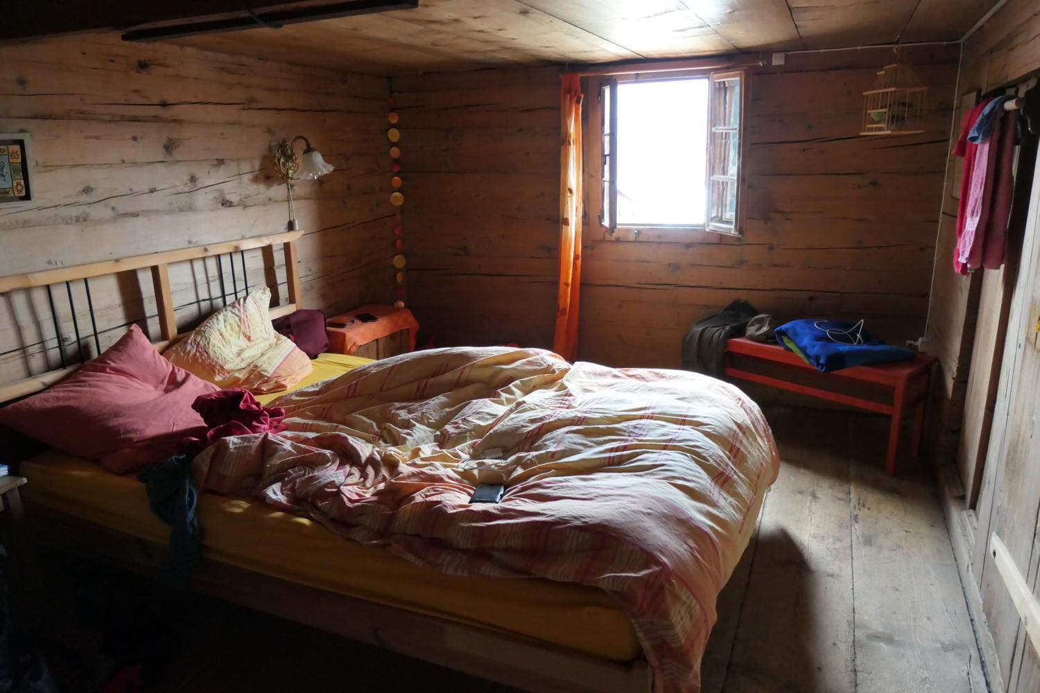 p1000562.jpg