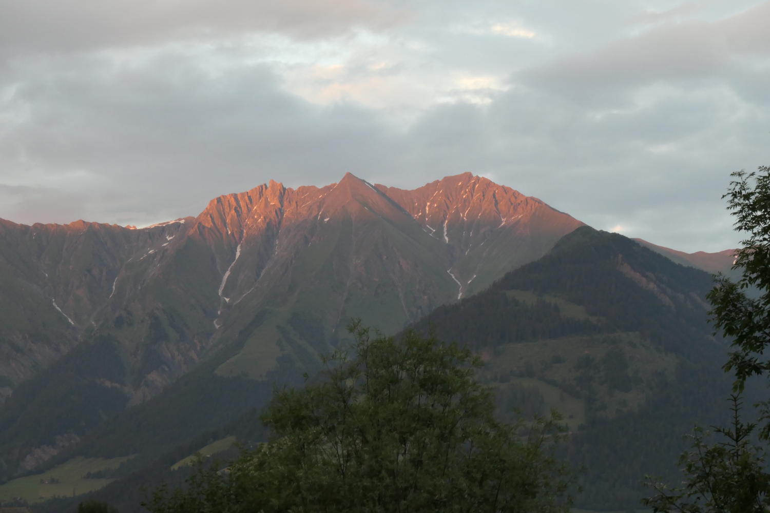 p1000569.jpg